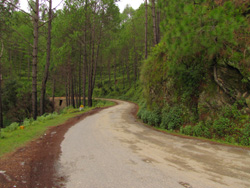Driving on and on